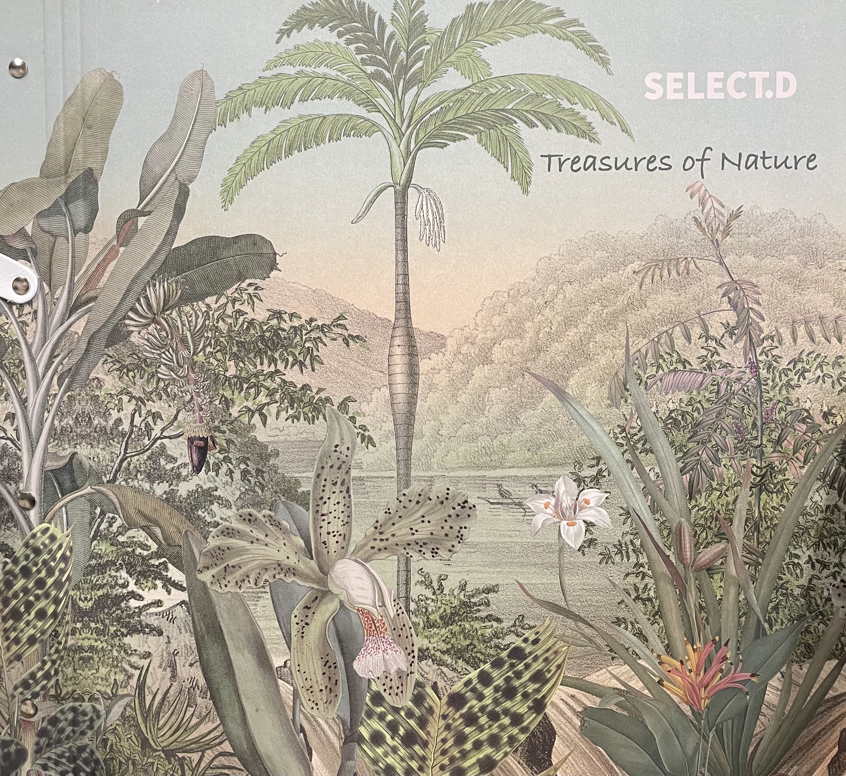 Behangexpresse - Treasures of Nature