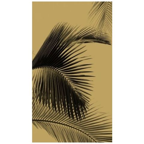 Caselio Moonlight - Honey Palm 101292098