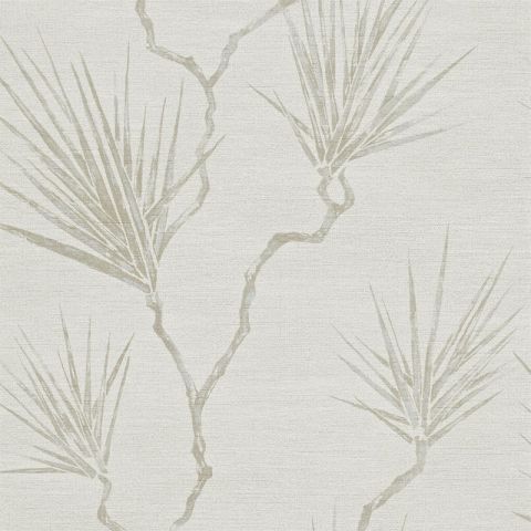 Anthology 1 - Peninsula Palm Parchment 110821