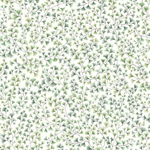 Cole & Son Botanical ~Botanica~ Maidenhair Ginkgo Biloba 115/6018