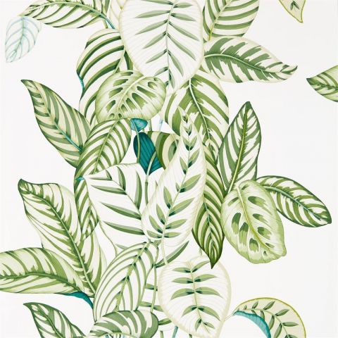 Sanderson The Glasshouse Calathea Botanical Green 216630