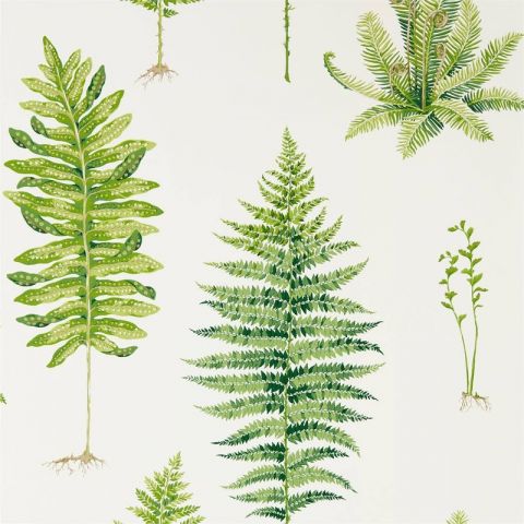 Sanderson The Glasshouse Fernery Botanical Green 216633