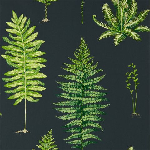 Sanderson The Glasshouse Fernery Botanical Green/Charcoal 216634