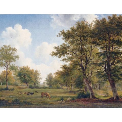 Dutch Wallcoverings Painted Memories II Dutch Forrest II 8051