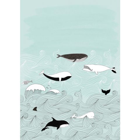 Studio Onszelf - Stories - Whales bleu