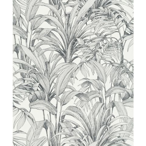 Dutch Wallcoverings - Asperia Aliare A51401