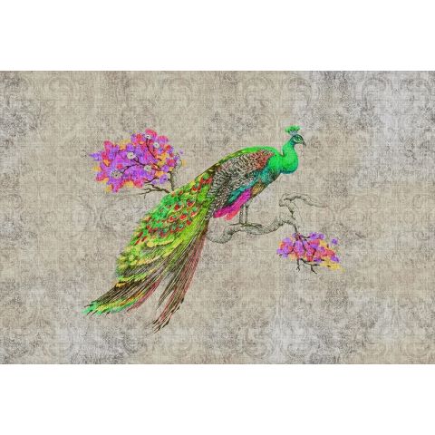 Walls by Patel II Peacock 1