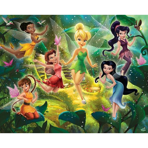 Netelig Slechte factor Dislocatie Disney Fairies | Behangwebshop.nl