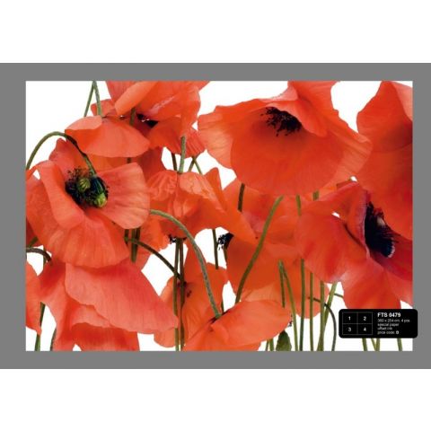 Poppy FTS 0479