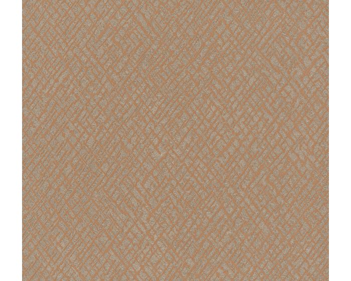 Terra Cotta Print 2 - 42108